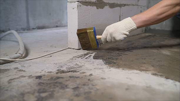 SJ Waterproofing Pros Crawl Space Encapsulation coverage map for Ovid, NY and surrounding area